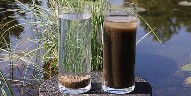 Bacteriophage Therapy Potentially Improves Wastewater Treatment Processes